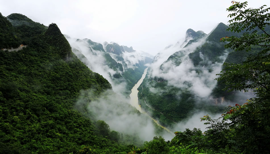 雨后天龙